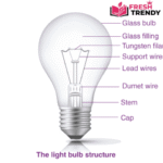 incandescent light bulb