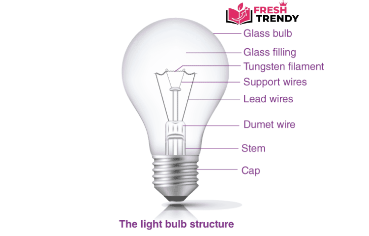 incandescent light bulb