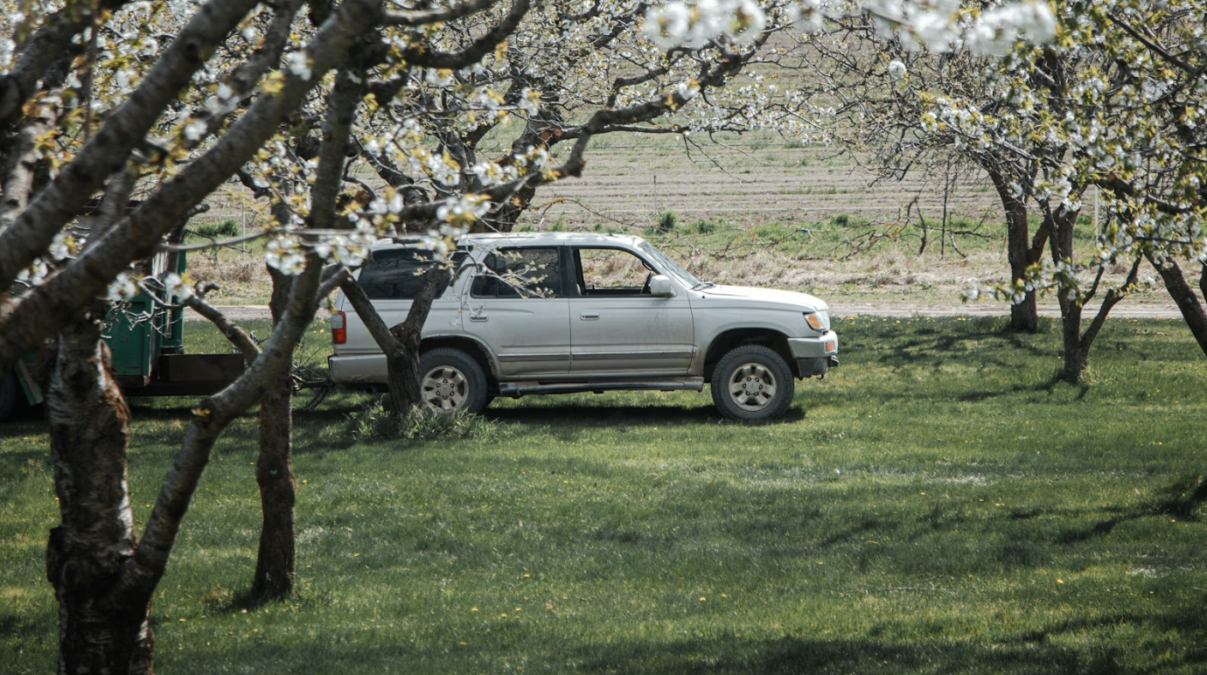 Expert recommendations that will help you properly take care of your car in the spring