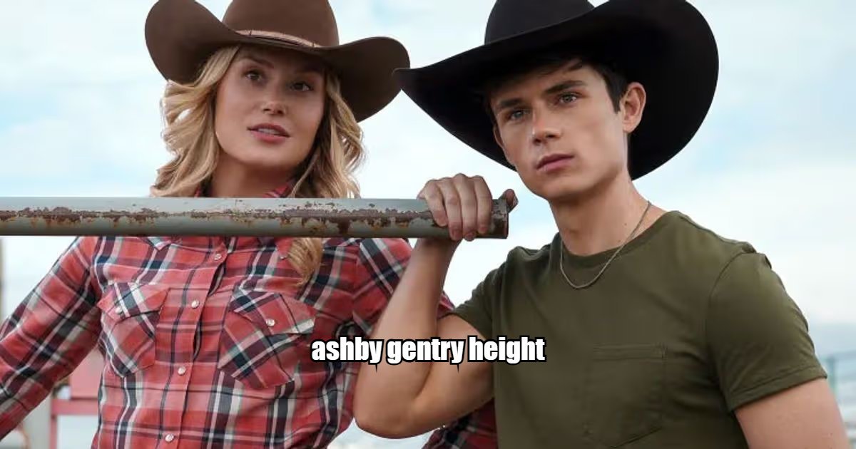Ashby Gentry Height
